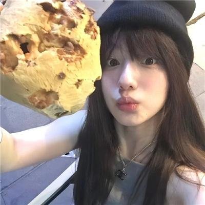 施密特的猫 海报
